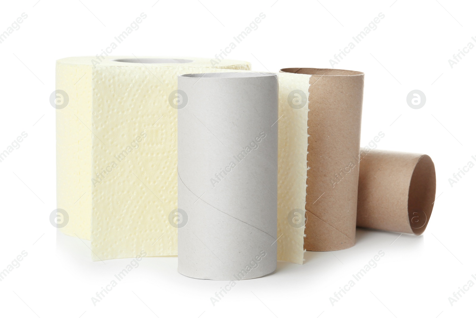 Photo of Full and empty toilet paper rolls on white background