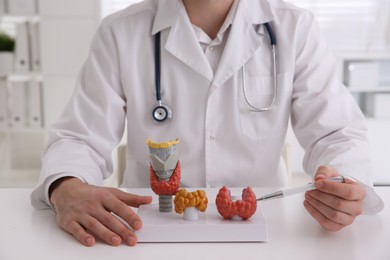 Doctor showing thyroid gland models at table in hospital, closeup