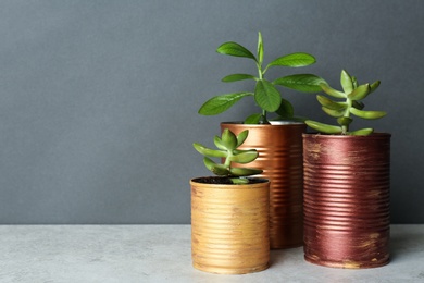 Beautiful houseplants in tin cans on light grey stone table. Space for text