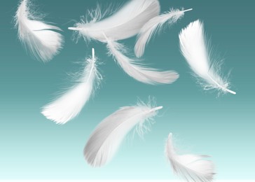 Image of Fluffy bird feathers falling on teal background