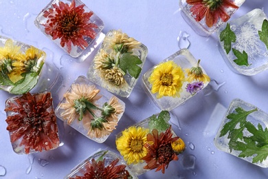 Ice cubes with flowers on violet background, flat lay