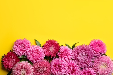 Beautiful asters and space for text on yellow background, flat lay. Autumn flowers