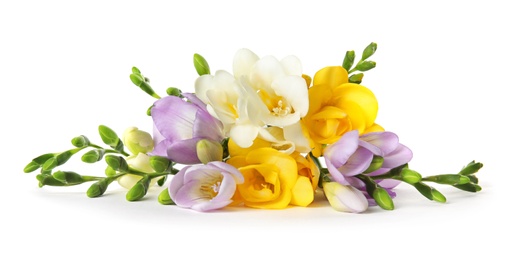Photo of Bouquet of fresh freesia flowers isolated on white