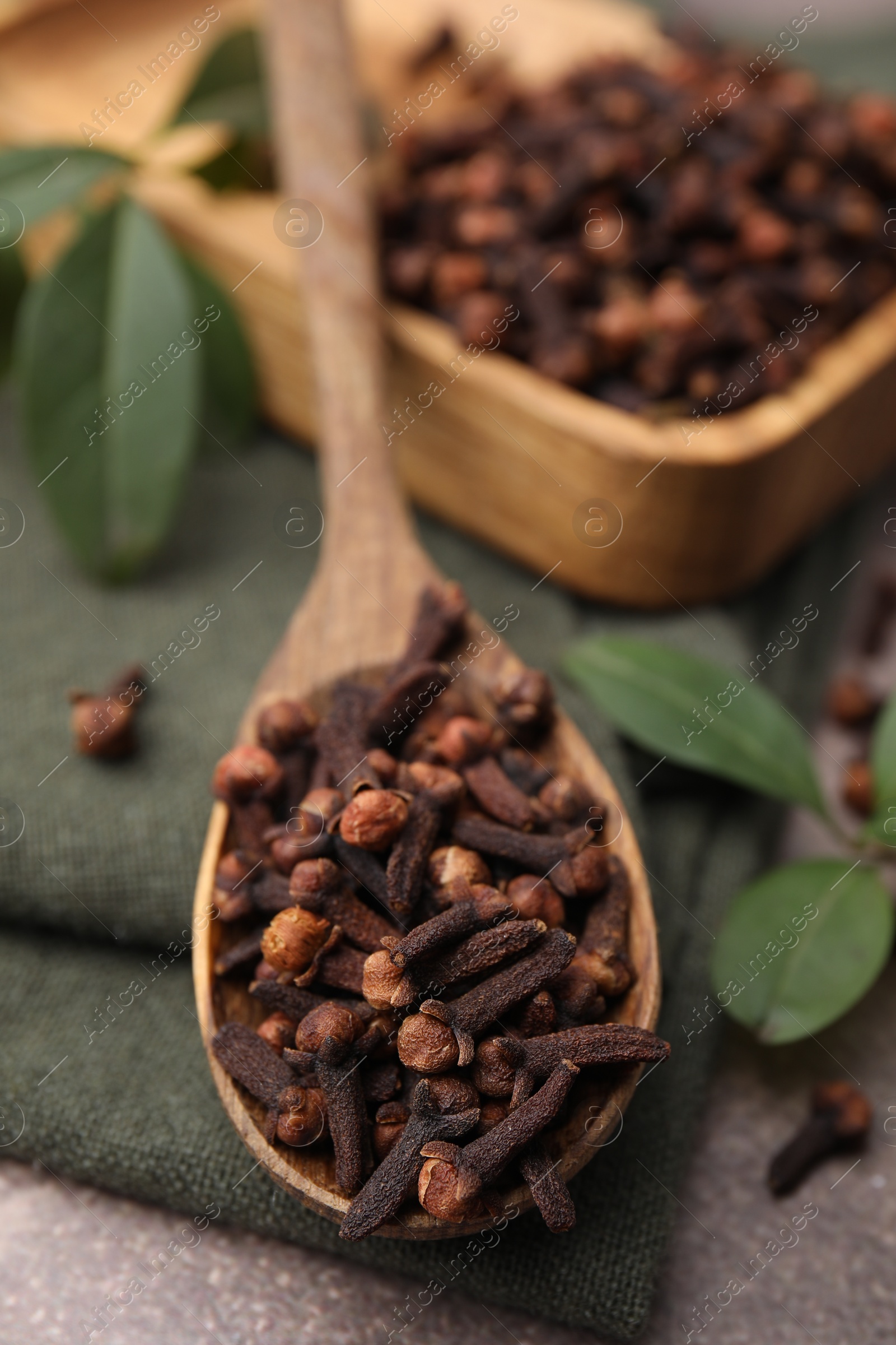 Photo of Wooden spoon with aromatic cloves and green leaves on table, closeup