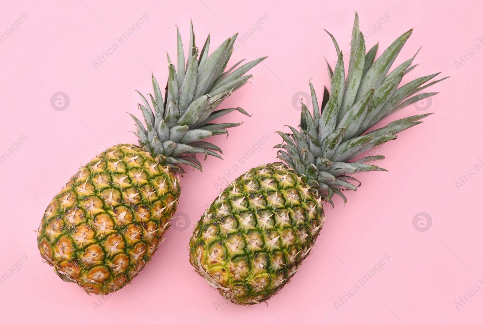 Photo of Delicious ripe pineapples on pink background, flat lay