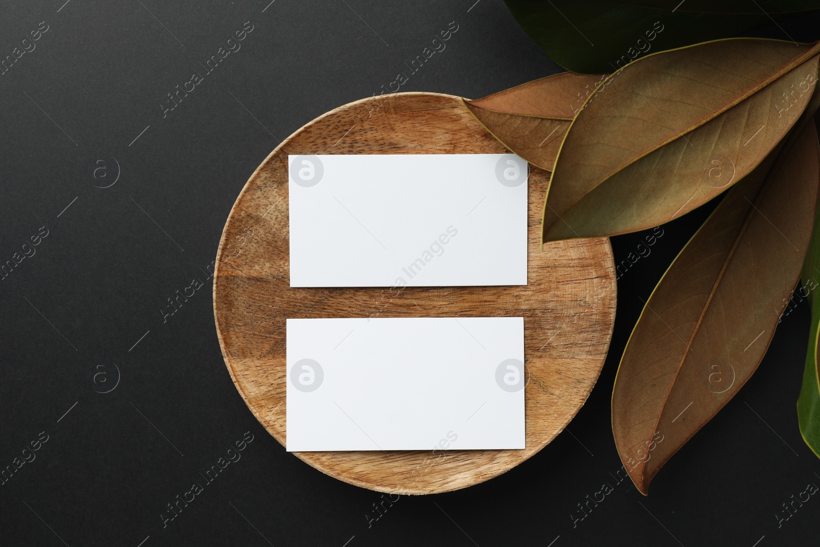 Photo of Blank business cards and magnolia leaves on black background, flat lay. Mockup for design