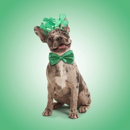 St. Patrick's day celebration. Cute French Bulldog wearing headband with clover leaves and bow tie on green background