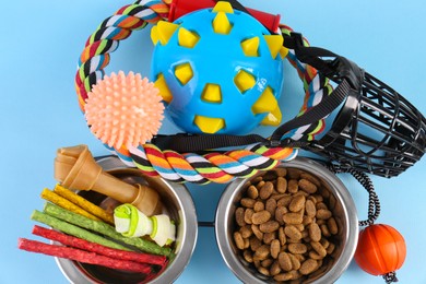 Dry pet food, toys and other goods on light blue background, flat lay. Shop items