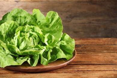 Photo of Fresh green butter lettuce on wooden table, space for text