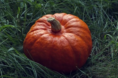 Photo of Ripe orange pumpkin among green grass outdoors, closeup