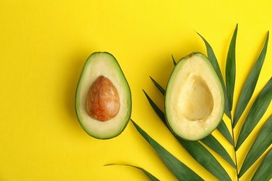 Flat lay composition with ripe avocado and tropical leaf on color background