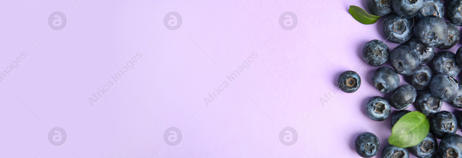 Image of Tasty fresh blueberries on lilac background, top view with space for text. Banner design