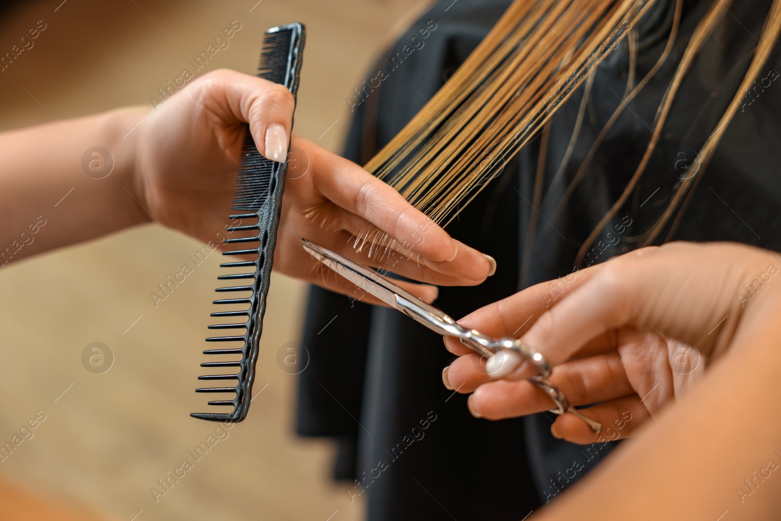 Photo of Professional hairdresser cutting girl's hair in beauty salon, closeup