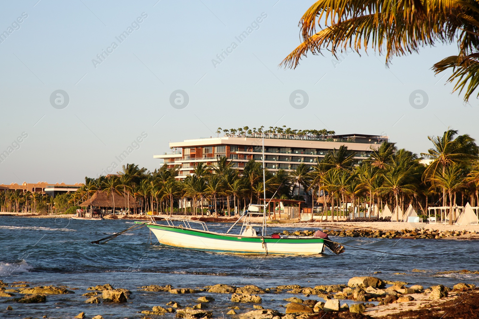 Photo of Picturesque view of sea coast, palm trees and distant resort on sunny day