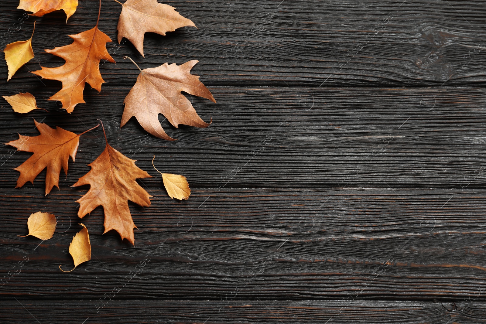 Photo of Flat lay composition with autumn leaves and space for text on wooden background