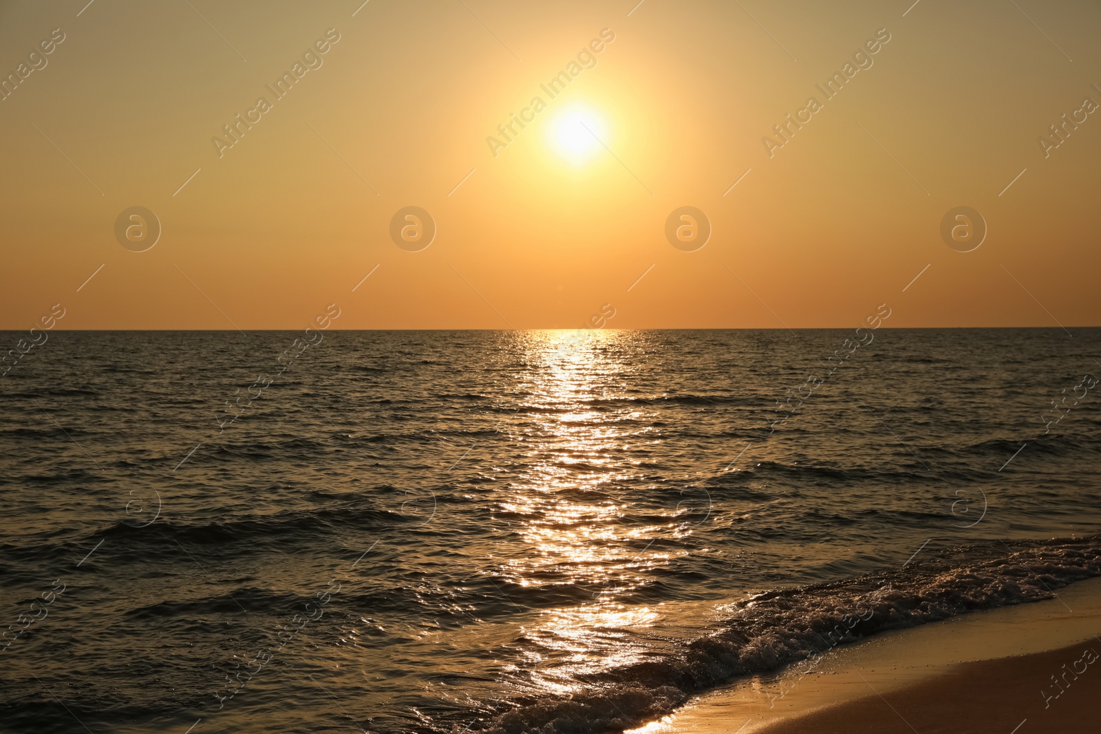 Photo of Picturesque view of beautiful beach at sunset