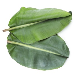 Photo of Fresh green banana leaves on white background, top view. Tropical foliage