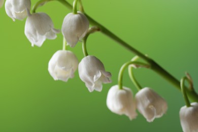 Beautiful lily of the valley flower on blurred green background, closeup