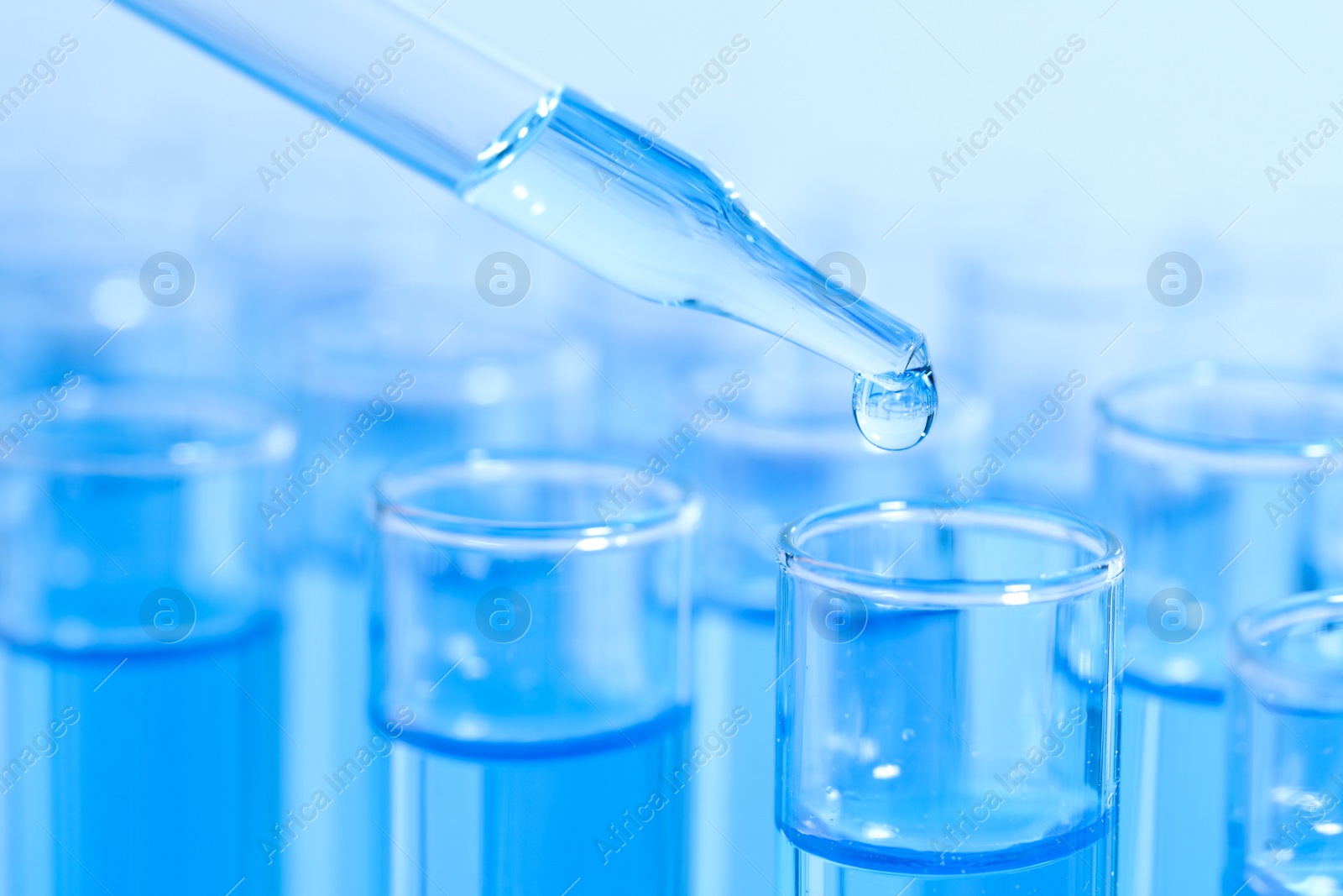 Photo of Dripping reagent into test tube with blue liquid, closeup. Laboratory analysis