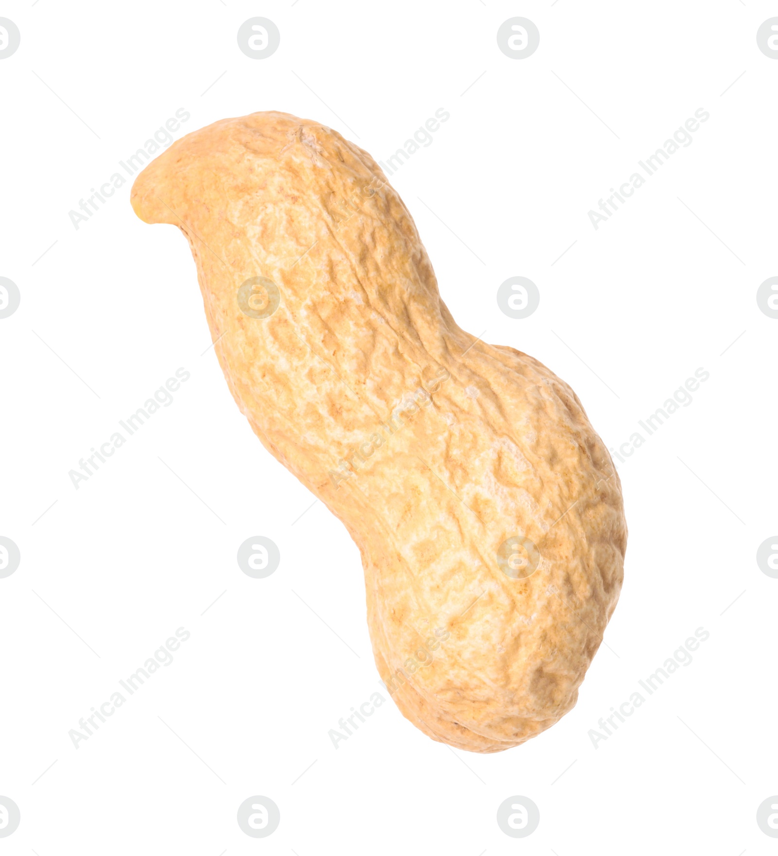 Photo of One fresh unpeeled peanut isolated on white