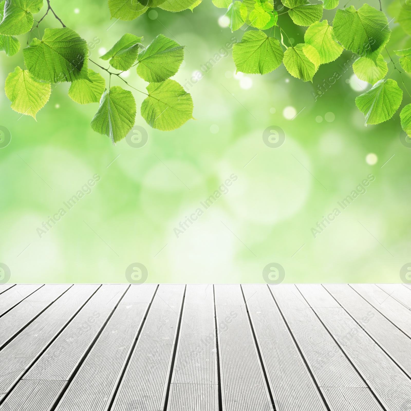 Image of Empty wooden surface and beautiful green leaves on blurred background. Bokeh effect