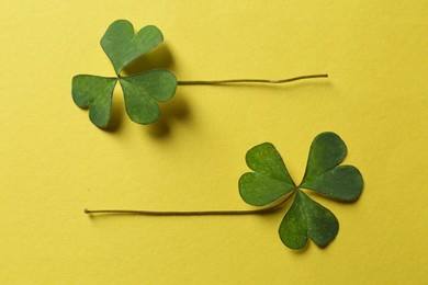 Green clover on yellow background, flat lay