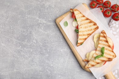 Photo of Delicious grilled sandwiches with mozzarella, tomatoes and basil on light grey table, flat lay. Space for text