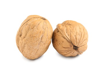 Photo of Whole walnuts in shell on white background