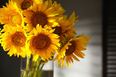 Bouquet of beautiful sunflowers in vase indoors, closeup
