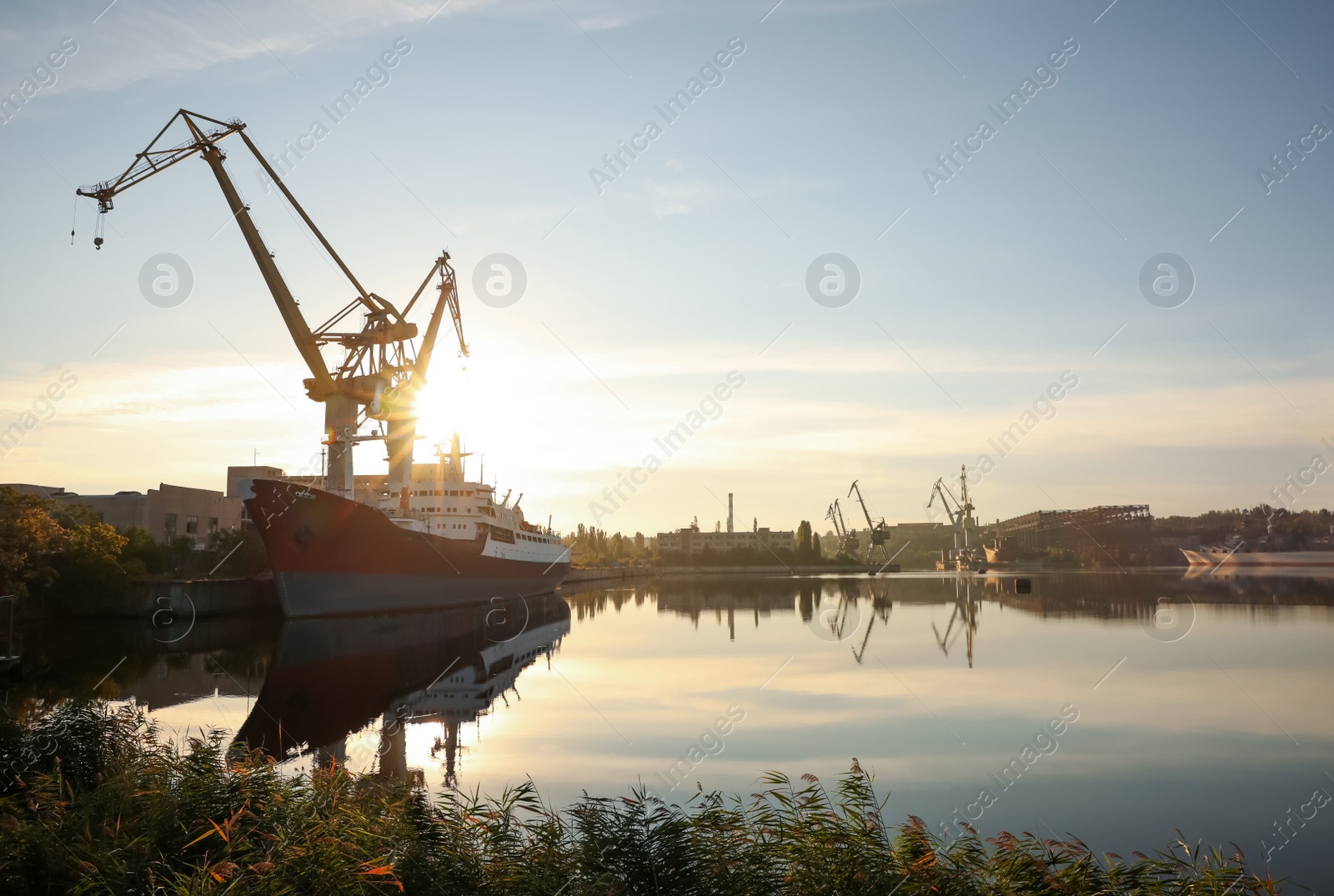 Photo of Big cranes and vessel at shipyard on sunny day