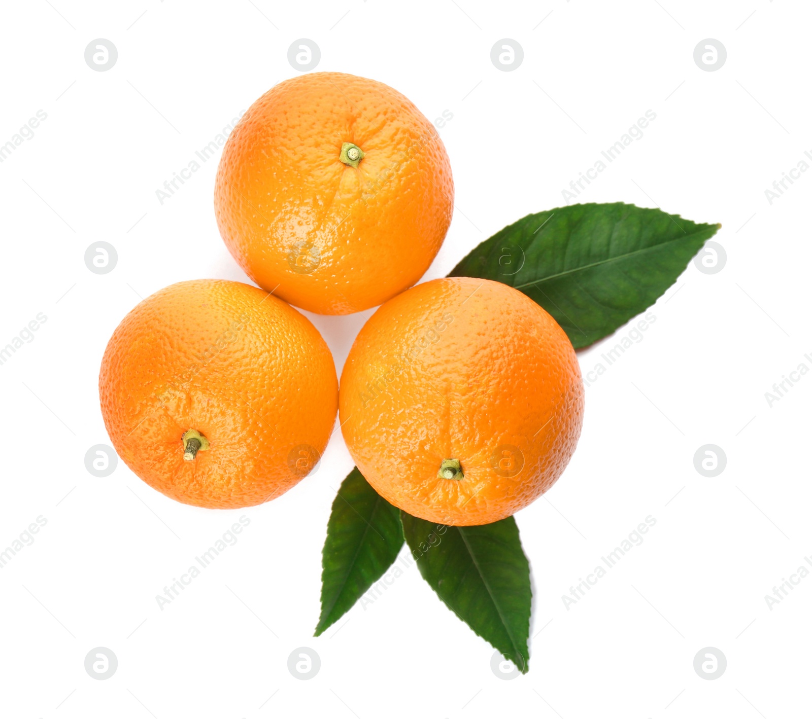 Photo of Fresh ripe oranges with green leaves on white background, top view