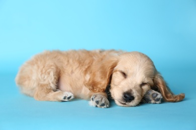 Photo of Cute English Cocker Spaniel puppy sleeping on light blue background