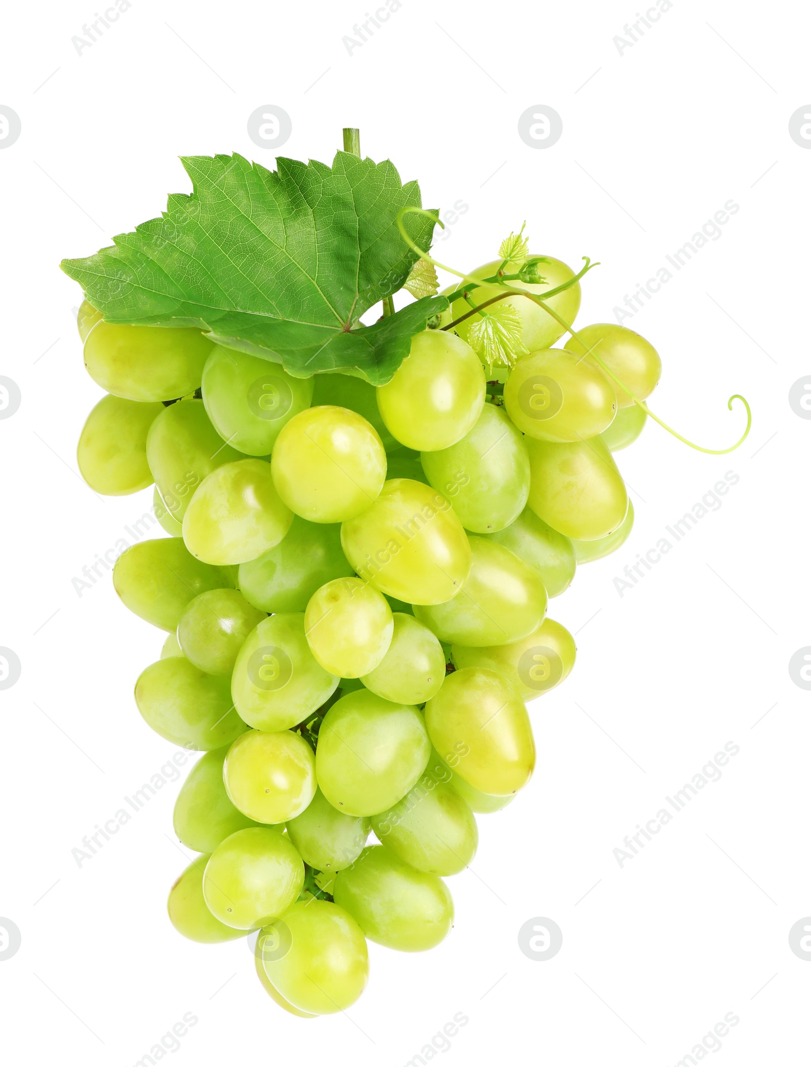 Photo of Bunch of fresh ripe juicy grapes isolated on white