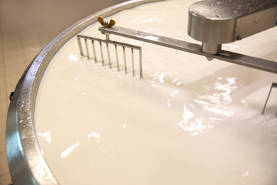 Milk in curd preparation tank at cheese factory, closeup