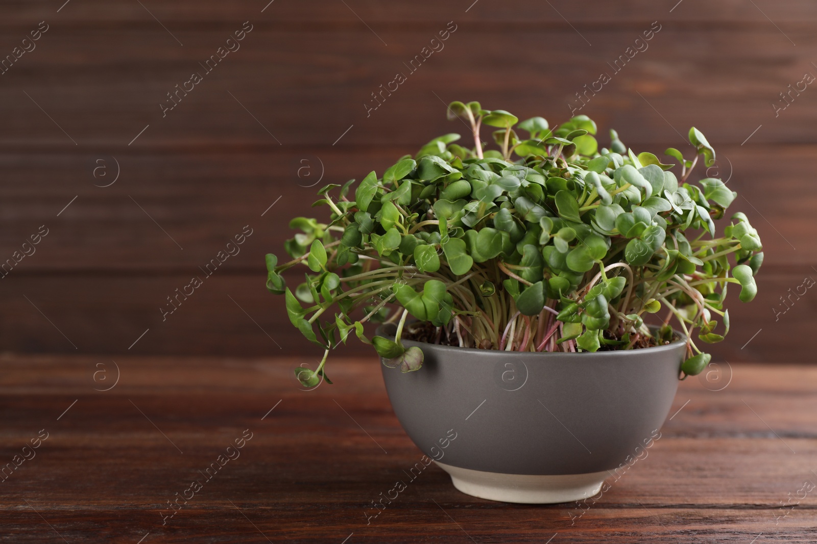 Photo of Fresh radish microgreens in bowl on wooden table, space for text