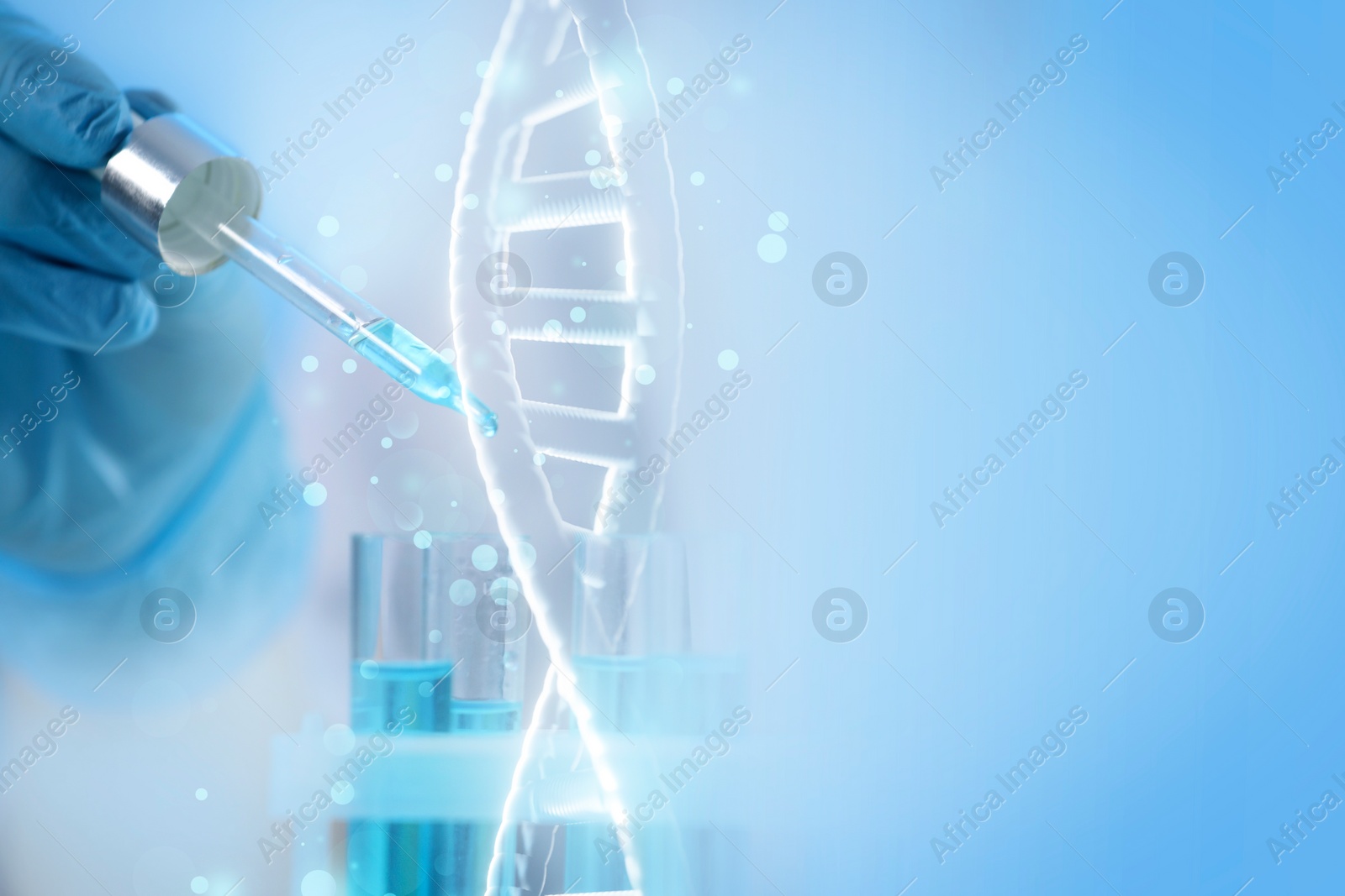 Image of Double exposure with photo of scientist working with sample and structure of DNA on light blue background