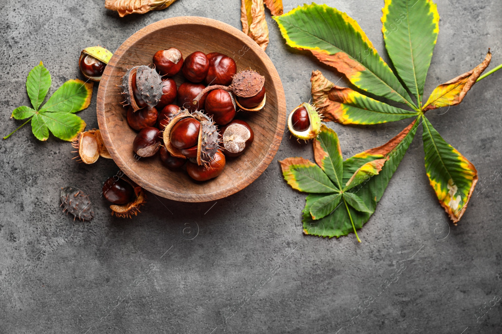 Photo of Horse chestnuts and leaves on grey table, flat lay. Space for text