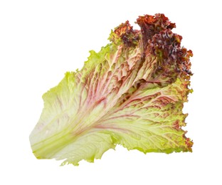 Photo of Leaf of fresh red coral lettuce isolated on white