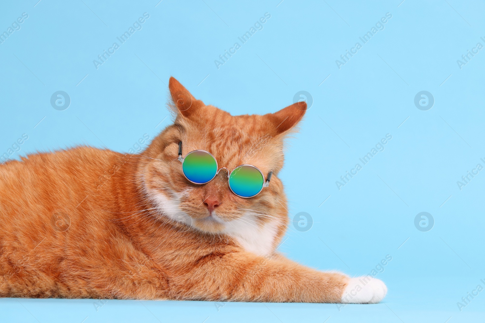 Photo of Cute ginger cat in stylish sunglasses on light blue background. Space for text