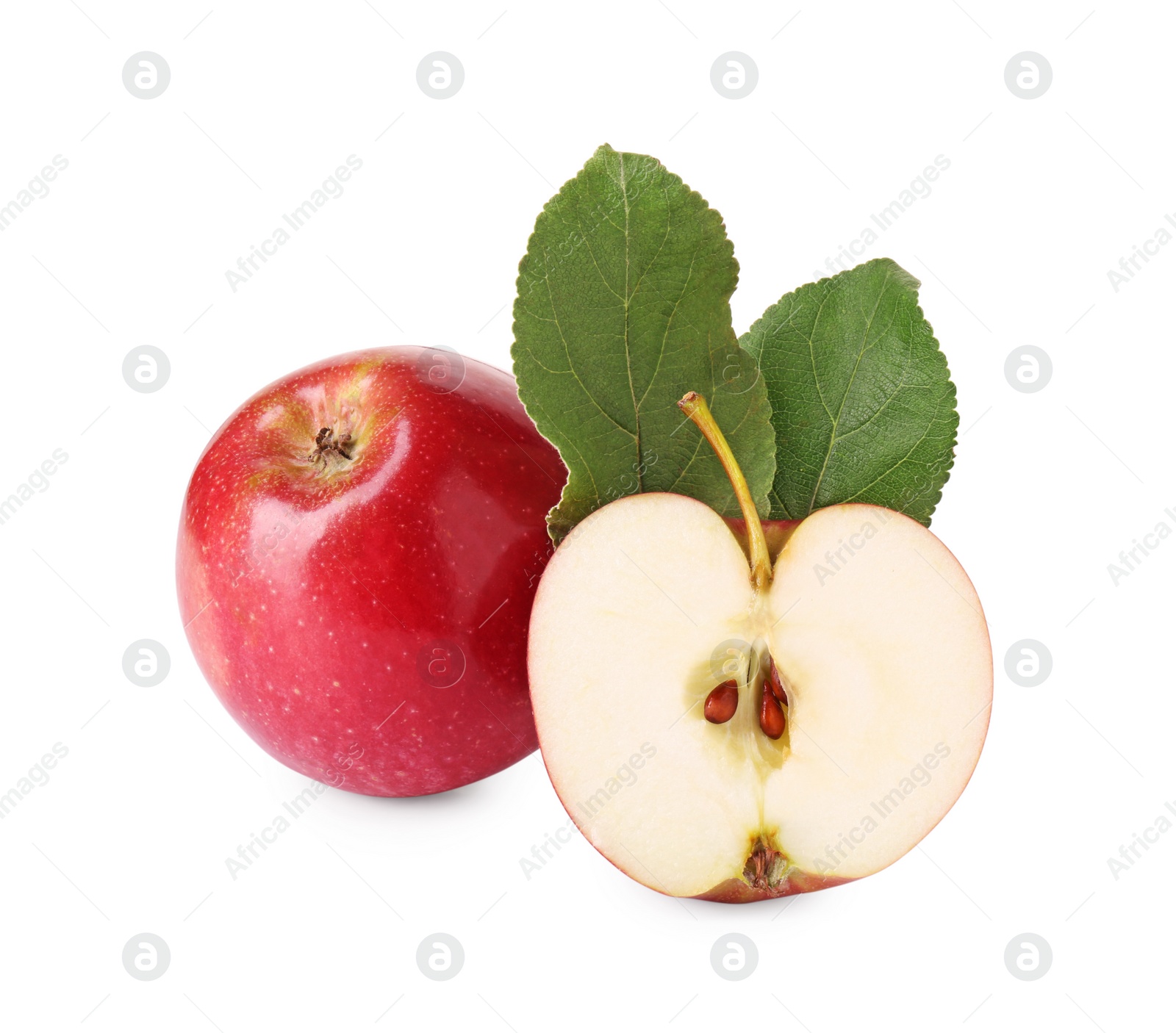 Photo of Whole, cut red apples and leaves isolated on white