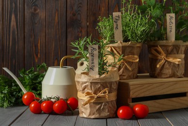 Different aromatic potted herbs, watering can and tomatoes on grey wooden table