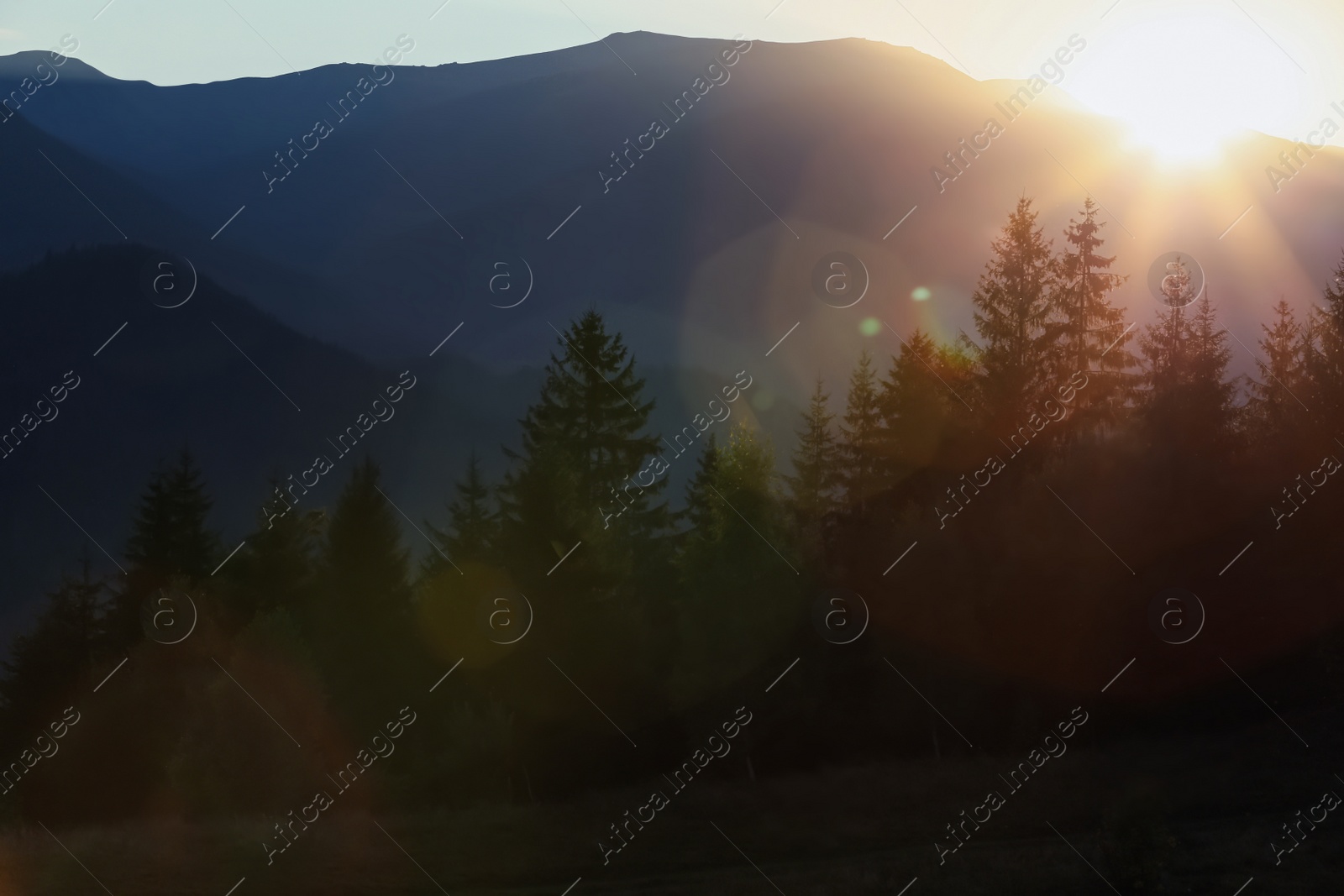 Photo of Picturesque view of forest in mountains at sunset