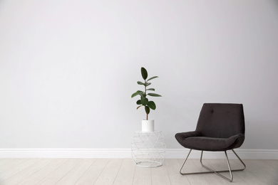 Photo of Ficus on table and armchair near white wall, space for text. Home plants