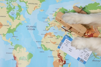 Photo of Dog lying near toy airplane and ticket on world map, top view. Travelling with pet