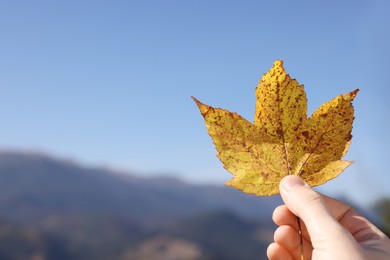 Woman holding beautiful autumn leaf against mountain landscape, closeup. Space for text