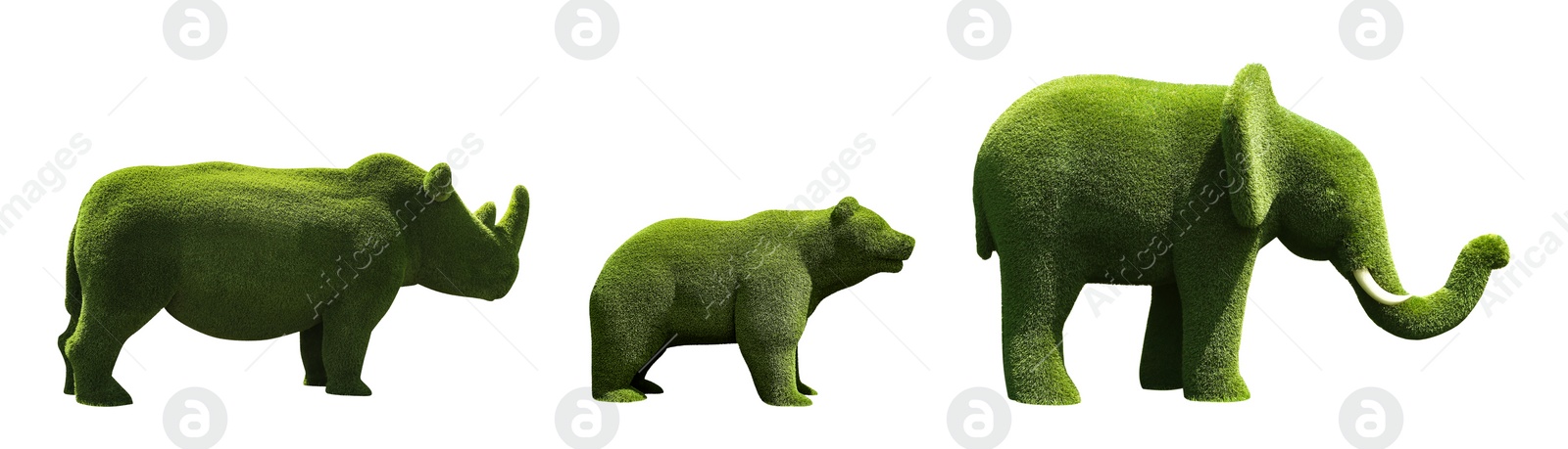 Image of Beautiful elephant, bear and rhinoceros shaped topiaries isolated on white. Landscape gardening