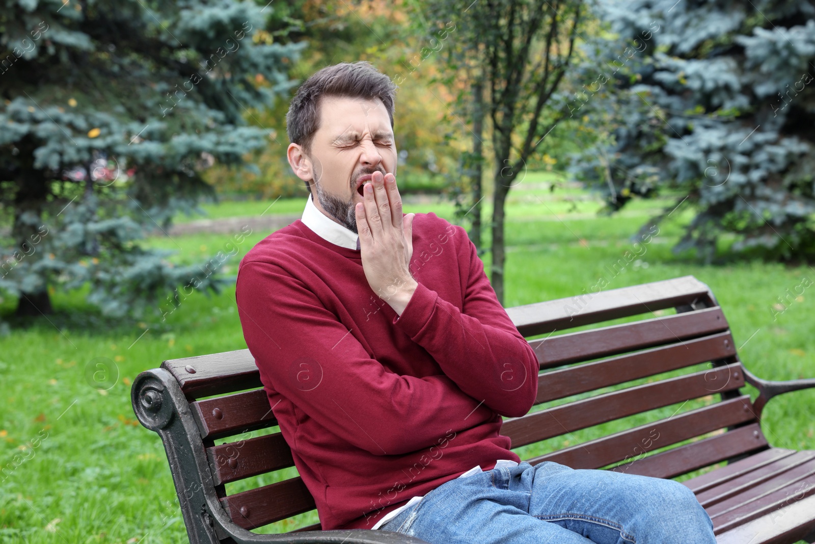 Photo of Sleepy tired man yawning on bench in beautiful green park