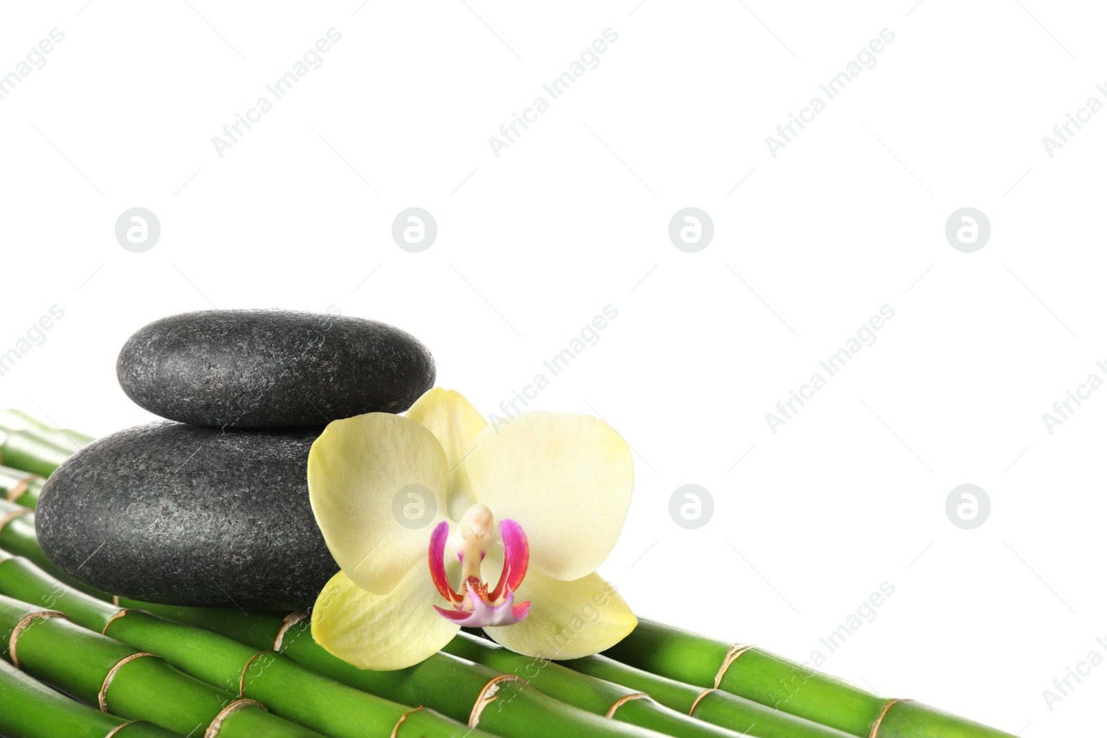 Photo of Spa stones and beautiful orchid flower on bamboo stems against white background