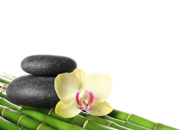 Photo of Spa stones and beautiful orchid flower on bamboo stems against white background