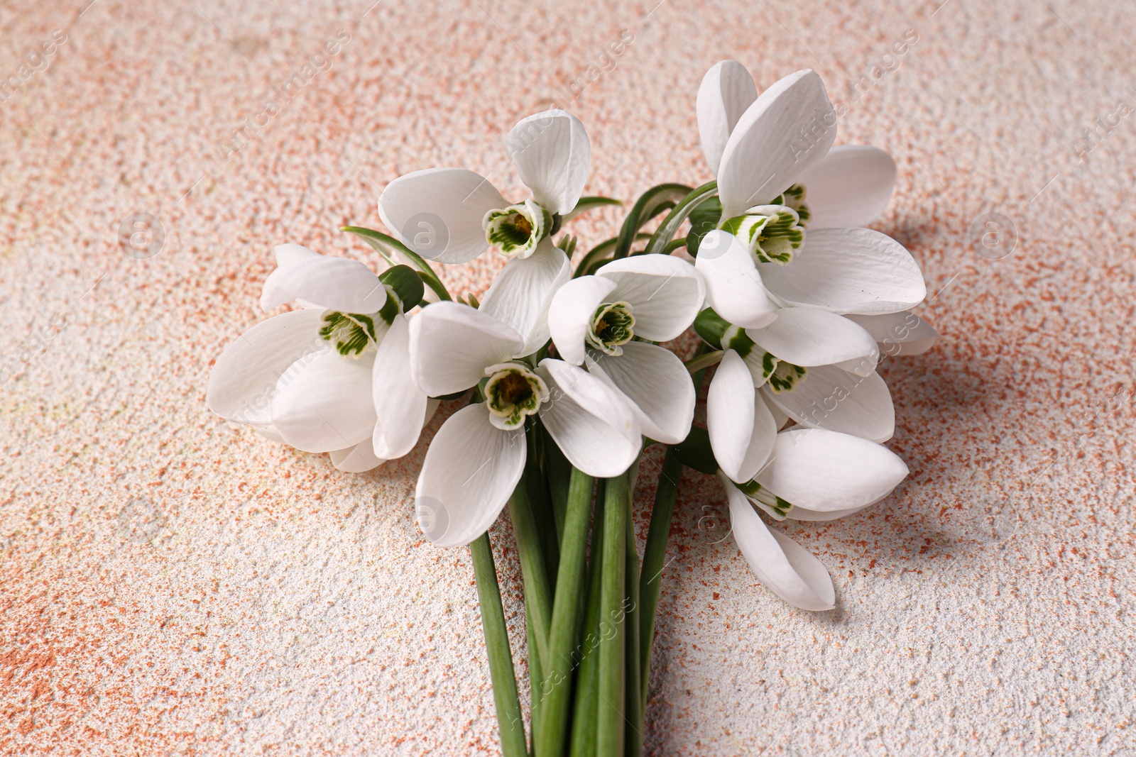 Photo of Beautiful snowdrops on color textured background. Spring flowers